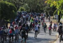 Día de la Bici Colegio Aljarafe Mairena del Aljarafe