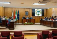 ordenanza administración electrónica Mairena del Aljarafe