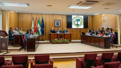 ordenanza administración electrónica Mairena del Aljarafe
