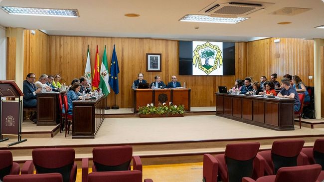 ordenanza administración electrónica Mairena del Aljarafe