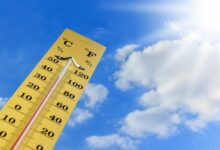 calor extremo en Mairena del Aljarafe