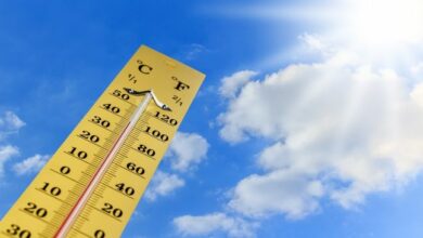 calor extremo en Mairena del Aljarafe