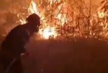 incendio Mairena del Aljarafe SPEIS Aljarafe