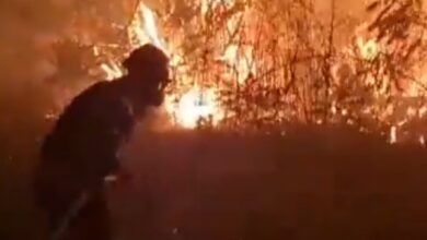 incendio Mairena del Aljarafe SPEIS Aljarafe